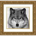 thumbnail image 1 of Costina, Mircea 21x20 Gold Ornate Wood Framed with Double Matting Museum Art Print Titled - Wolf Portrait, 1 of 4