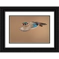 thumbnail image 1 of Costina, Mircea 32x23 Black Ornate Wood Framed with Double Matting Museum Art Print Titled - Wood Duck, 1 of 4