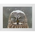 thumbnail image 1 of Costina, Mircea 32x25 White Modern Wood Framed Museum Art Print Titled - Great Grey Owl Winter Portrait, 1 of 4
