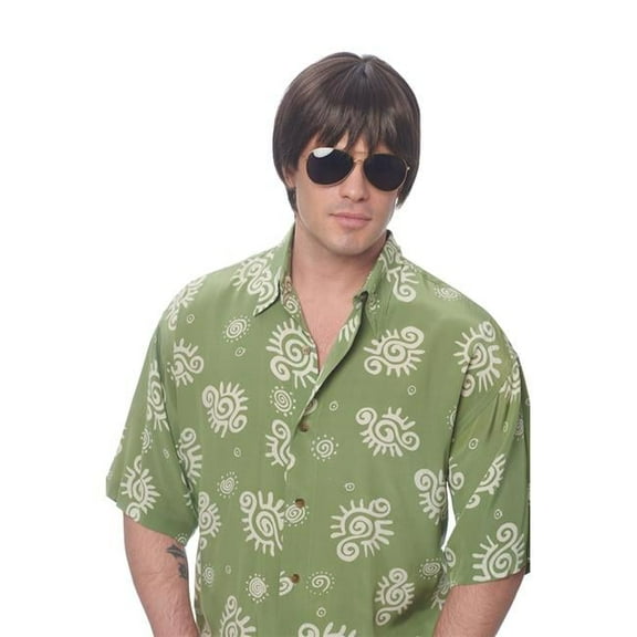 Costume Culture by Franco 21096-12 Dude Wig, Brown