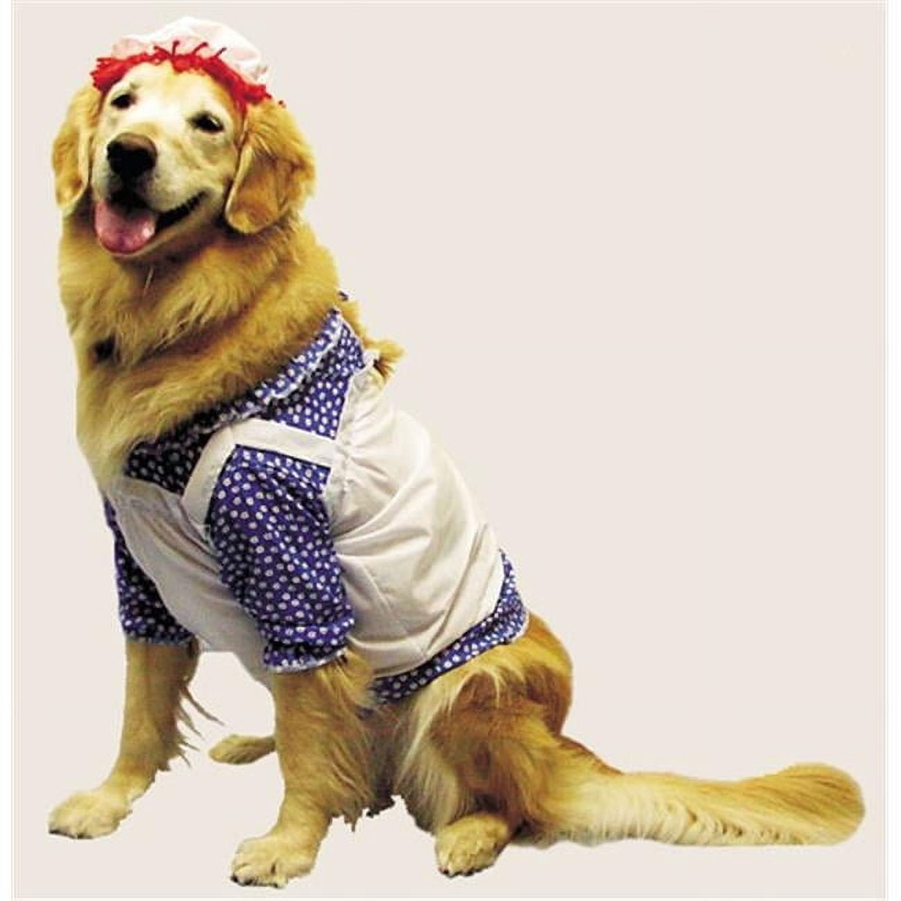 slim fit dress slacks Sky Blue Dog Sherwani main image 1