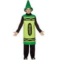 thumbnail image 1 of Costumes For All Occasions Gc450604 Crayola Child Green 7-10, 1 of 3