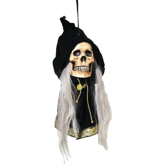 Costumes For All Occasions MR123010 Grim Deluxe Hanging Skull