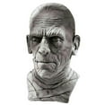 thumbnail image 1 of Costumes For All Occasions Ru67134 Mummy Mask, 1 of 1