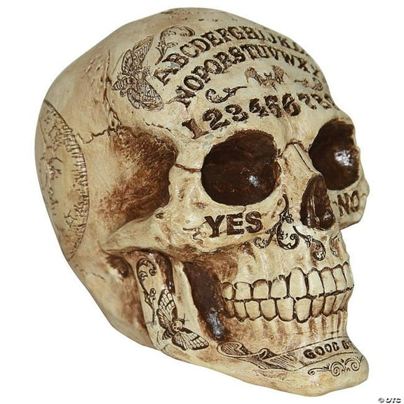 Costumes for All Occasions SS64353 7 in. Skull Fortune Telling Prop Decoration
