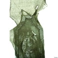 thumbnail image 1 of Costumes for all Occasions SS05998 Freaky Fabric Loose Weav Green, 1 of 2