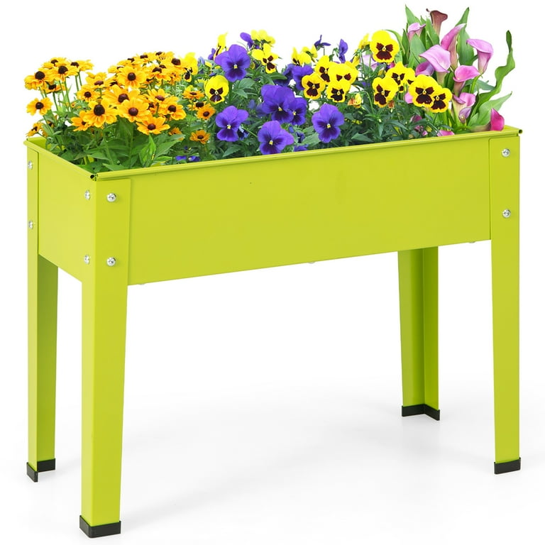 Green and Yellow Blooms Lovely Box