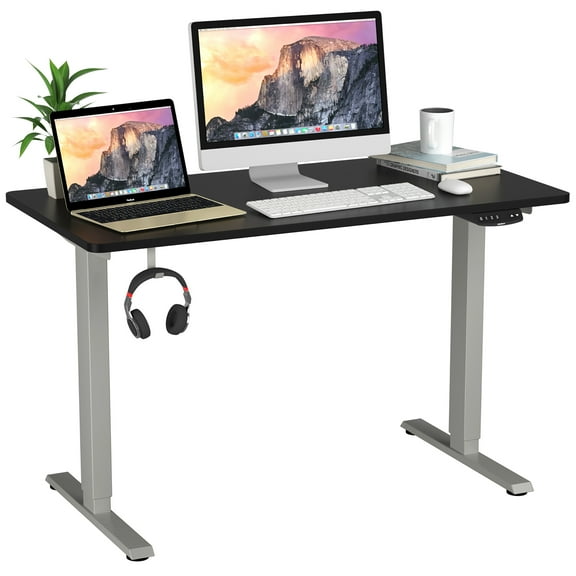 Costway 48'' x 24'' Electric Adjustable Standing up Desk Dual Motor w/ Controller