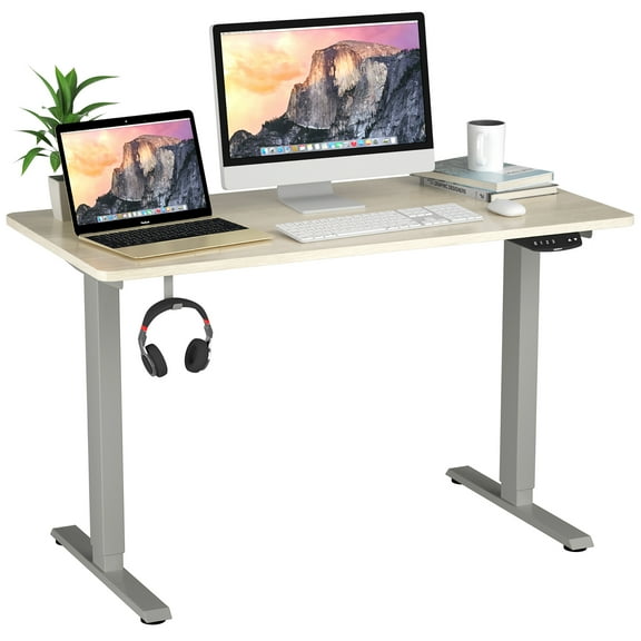 Costway 48'' x 24'' Electric Adjustable Standing up Desk Dual Motor w/ Controller