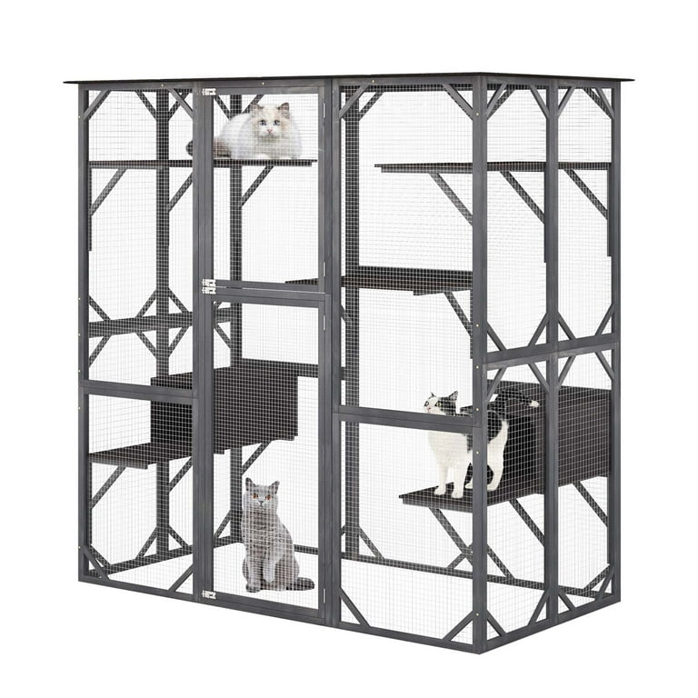 Walmart catio 2024