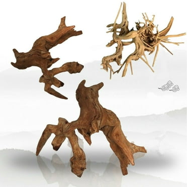 Costyle Natural Aquarium Driftwood Assorted Branches Reptile Ornament for Fish Tank Decoration, Small Size