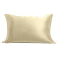 thumbnail image 1 of Cosy House Collection 100% Silk Pillowcase - Pure Mulberry Silk - Cooling, Breathable, 1 of 3