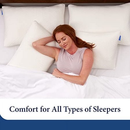 Cosy House Collection 2-Pack Luxury Rayon Derived from Bamboo Shredded Memory Foam Pillow - Adjustable & Removable Fill - Cool & Breathable Cover with Zipper for Side, Back, & Stom