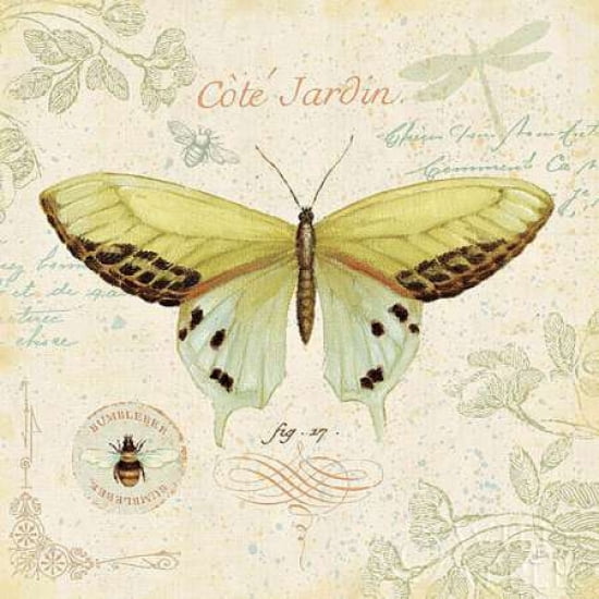 Cote Jardin II Canvas Art - Daphne Brissonnet (24 x 24)