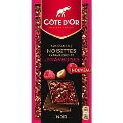 Cote d'or Chocolat Noir aux Eclats Noisettes et Framboises 100g