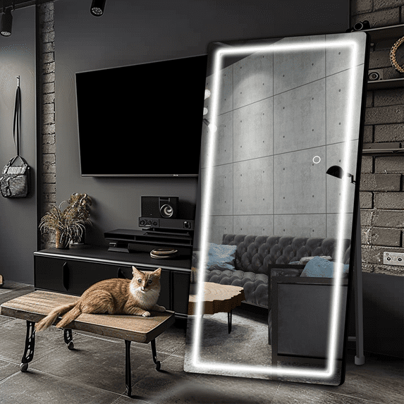 Cotiro LED Full Length Mirror with Lights, 67"x24" Floor Standing LED Lighted Mirror Full Length, Full Body Over the Door Mirrors with Dimming & 3 Color Lighting for Room, Salon, Redecorating, Black