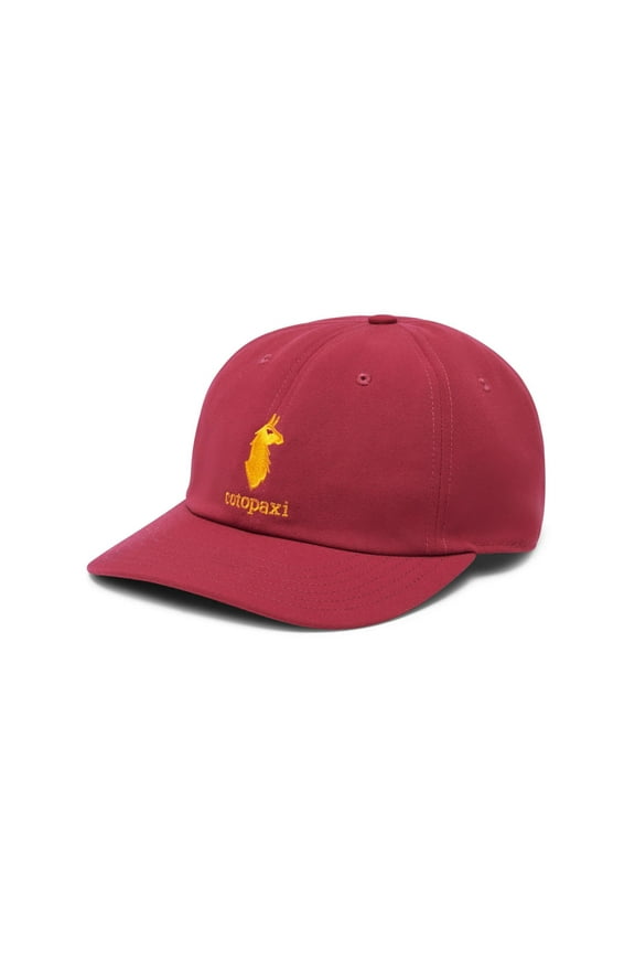 Dad Hat - Raspberry