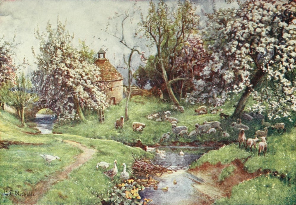 Cotswolds 1920 A Cotswold orchard Canvas Art - George F Nicholls (18 x 24)