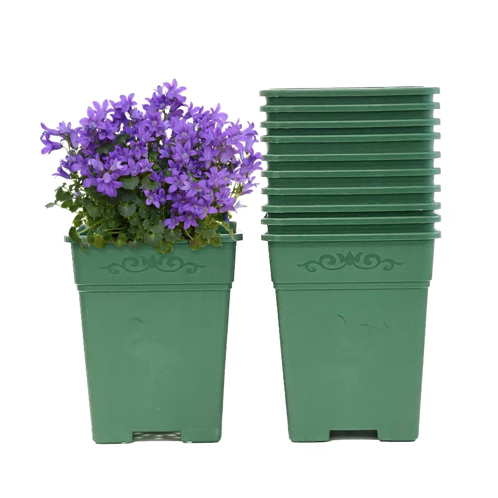 Cotta Planters 1.5 Gallon Square Nursery Pots 10Pack Green 6.25 inch