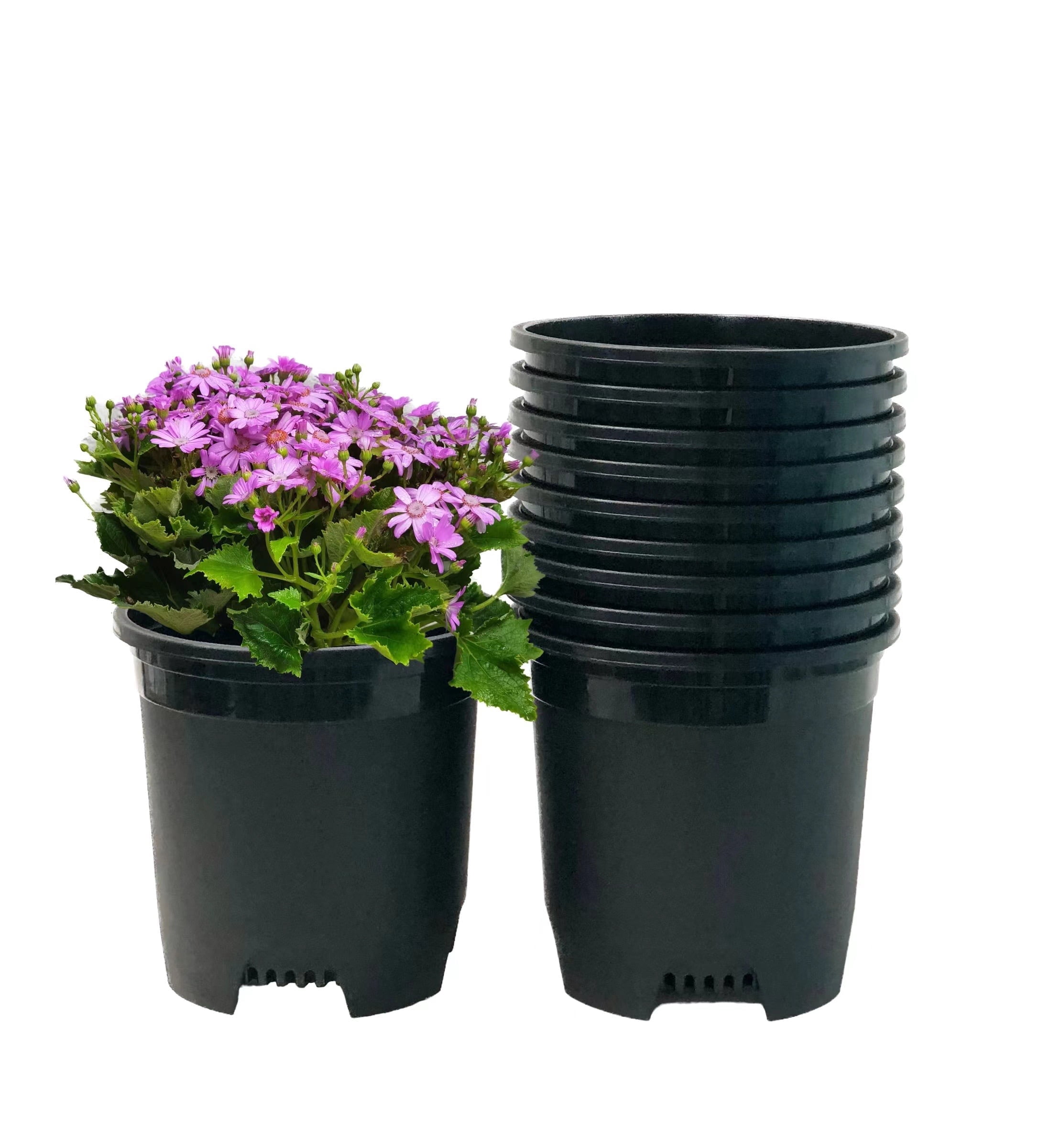 Cotta Planters 3 Gallon Nursery Pots 30-Pack Bulk Plastic Vegatable Planters Gardening Supplies Holes for Plant Cage Stakes