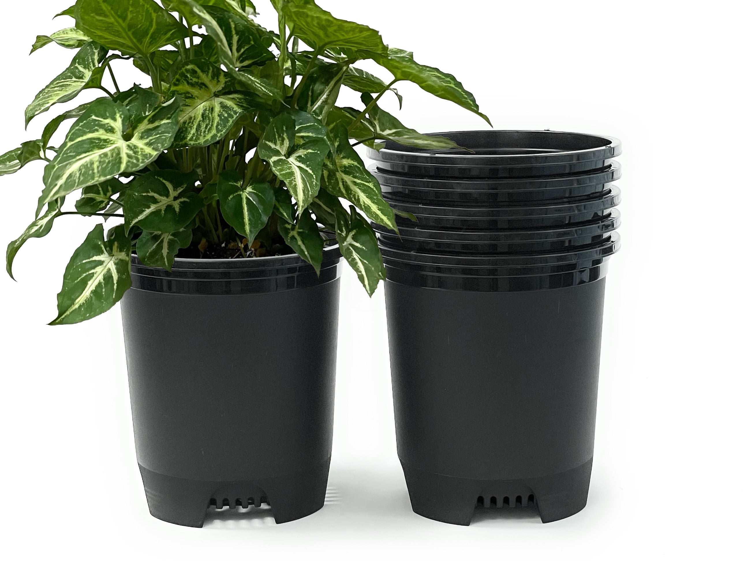 Cotta Planters 3 Gallon Nursery Pots 6-Pack Plastic Planters Greenhouse Supplies Holes for Plant Cage Stakes