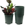 thumbnail image 1 of Cotta Planters 30-Pack 1.5 Gallon Plastic Nursery Plant Pots, Heavy Duty BPA-Free Recycled Plastic, Green, 1 of 4