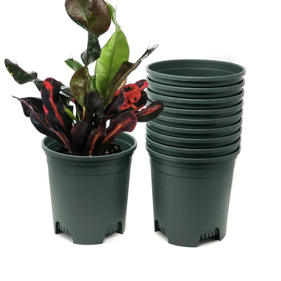 Cotta Planters 30-Pack 1.5 Gallon Plastic Nursery Plant Pots, Heavy Duty BPA-Free Recycled Plastic, Green