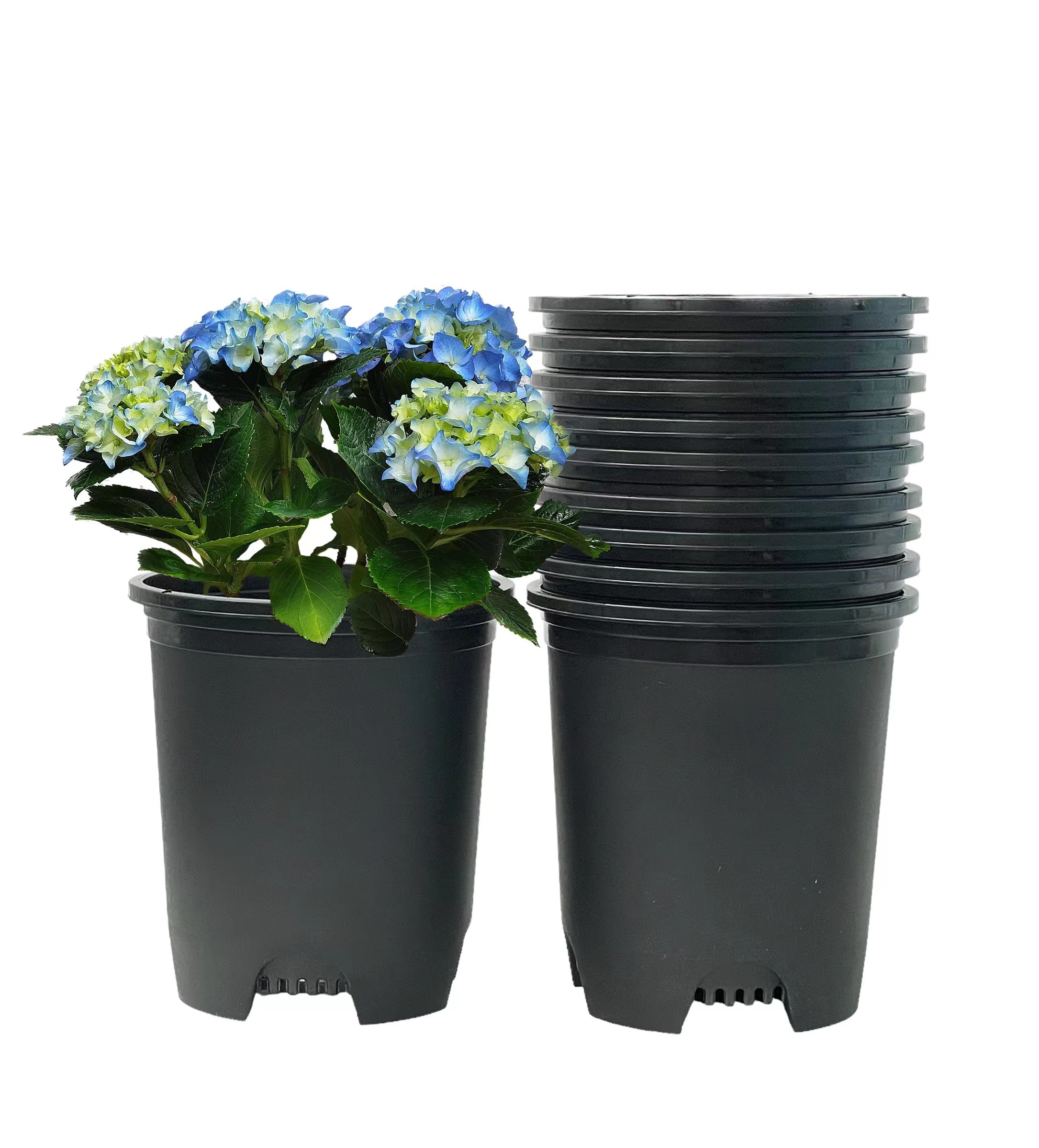 Cotta Planters 5 Gallon Nursery Pots 10-Pack Plastic Premium Plastic  Planters Drainage Holes