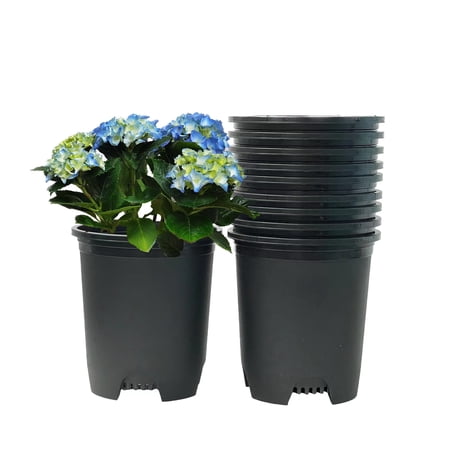 Cotta Planters 5 Gallon Nursery Pots 10-Pack Plastic Premium Plastic Planters Drainage Holes