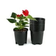 thumbnail image 1 of Cotta Planters 5 Inch Nursery Pots 10-Pack 0.5 Gallon Plastic Planters Liners Greenhouse supplies, 1 of 5