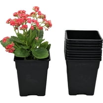 Cotta Planters 5 inch Square Nursery Pots 0.5 Gallon 10-Pack Plastic Planters Greenhouse supplies
