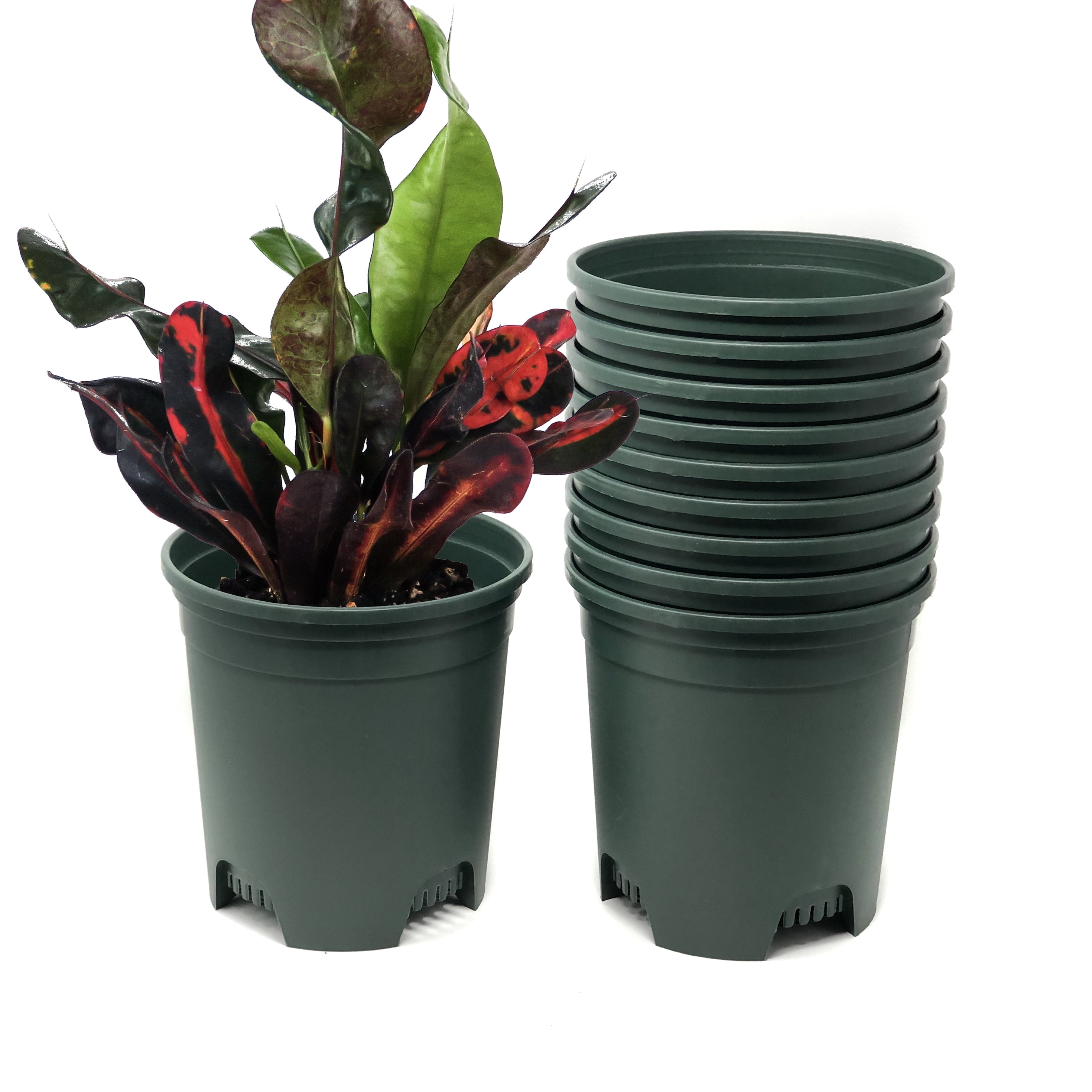 Cotta Planters 50-Pack 1.5 Gallon Plastic Nursery Plant Pots, Heavy Duty BPA-Free Recycled Plastic, Green