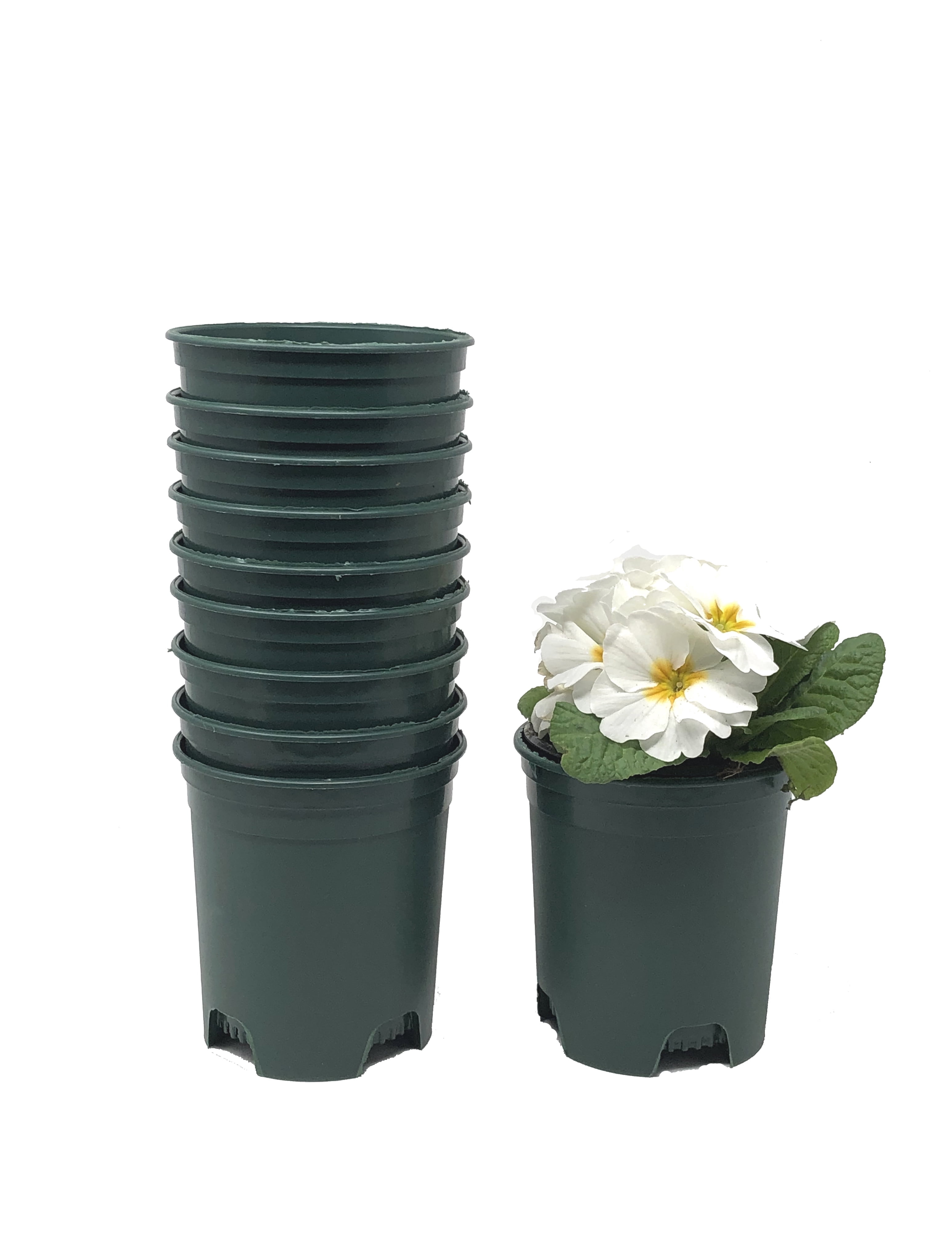 Cotta Planters Nursery Pot 4 Inch Plastic Planters 30-Pack 0.25 Gallon Green for Outdoor Indoor Plants Gardening Flower