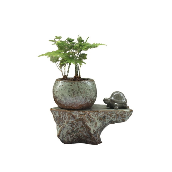 Cotta Planters Self-Watering Pot Set with Ceramic Plant Buddy Turtle Figurine, Patina Glaze Planter with Wick Cord