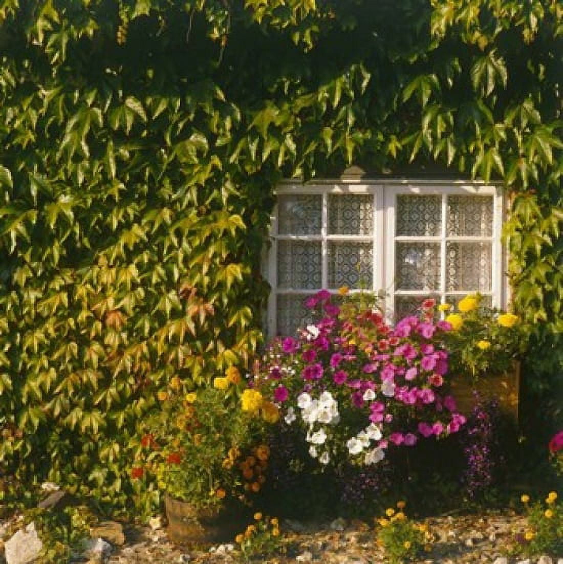 Cottage Devon England Canvas Art - Paul Thompson DanitaDelimont (29 x 29)