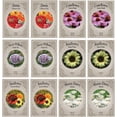 thumbnail image 1 of Cottage Garden Flower Seed Variety Pack – 12 Seed Packets | Zinnia, Coneflower, Sweet William, Sunflower & Shasta Daisy | Annual & Perennial Blooms for Cut Flower Gardens, 1 of 4