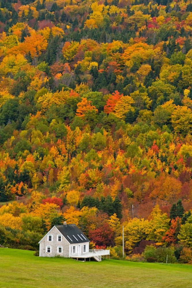 Cottage In Front Of Autumn Colours Capstick Cape Breton Nova Scotia Canvas Art - John Sylvester Design Pics (22 x 34)