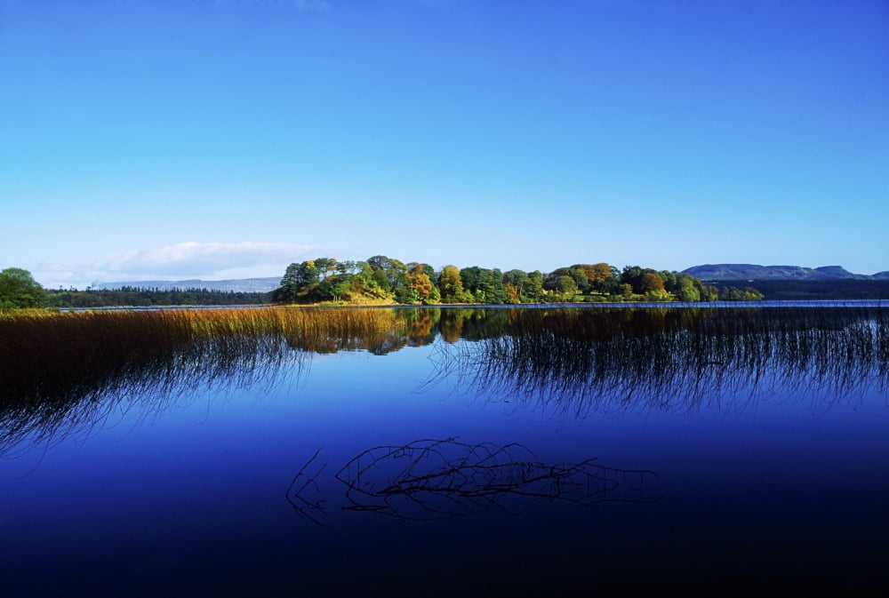 Cottage Island Lough Gill Co Sligo Ireland Irish Landscape Canvas Art - The Irish Image Collection Design Pics (18 x 12)