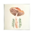 thumbnail image 1 of Cottage Mushroom Forest Plants Botanical & Floral Graphic Art Unframed Art Print Wall Art, 1 of 6