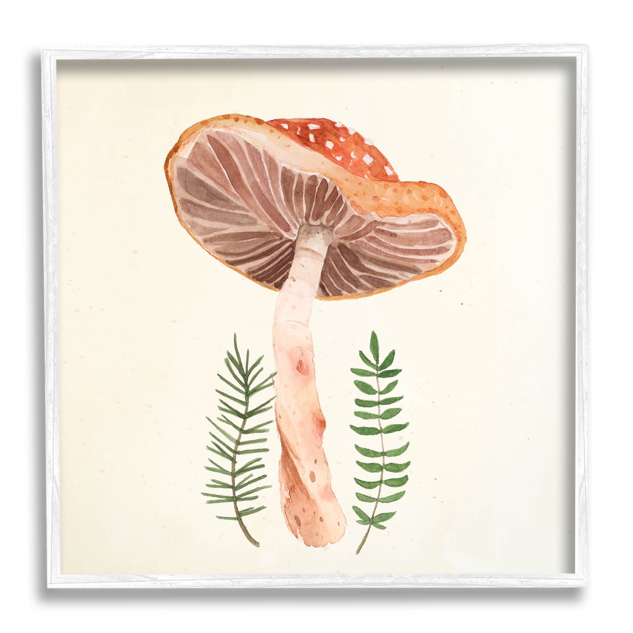 Cottage Mushroom Forest Plants Botanical & Floral Graphic Art White Framed Art Print Wall Art