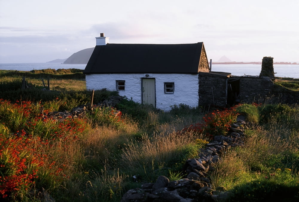 Cottage Near Dunquin Dingle Peninsula Co Kerry Ireland Canvas Art - The Irish Image Collection Design Pics (18 x 12)