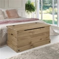 thumbnail image 1 of Cottage Series Wood Storage Trunk, Corona Brown, 1 of 1