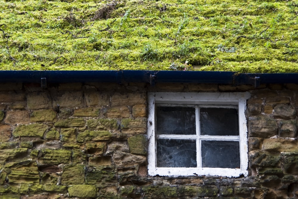Cottage With Grassy Roof Canvas Art - John Short Design Pics (34 x 22)