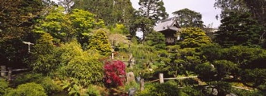 Cottage in a park Japanese Tea Garden Golden Gate Park San Francisco California USA Canvas Art - Panoramic Images (36 x 13)