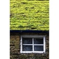 thumbnail image 1 of Cottage with Grass Growing On Roof Poster Print by John Short, 22 x 34 - Large, 1 of 1