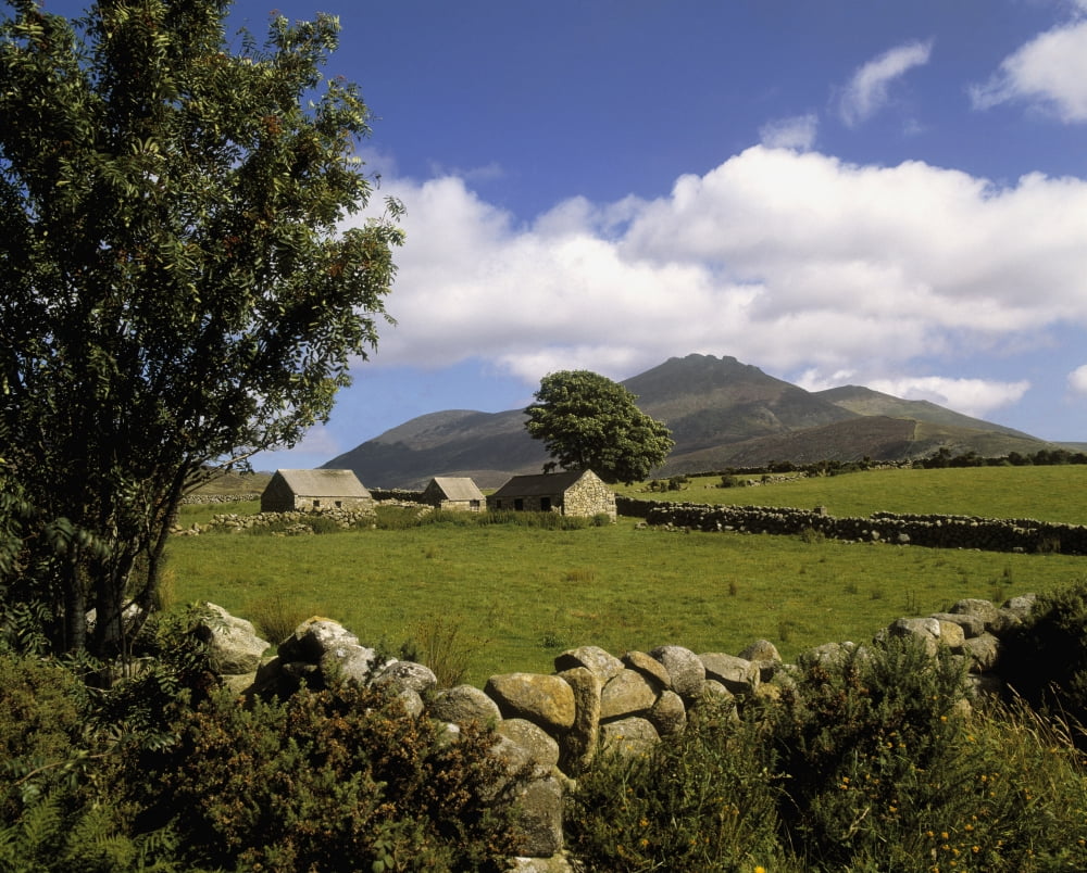 Cottages On A Farm Near The Mourne Mountains County Down Ireland Canvas Art - The Irish Image Collection Design Pics (15 x 12)