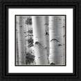 thumbnail image 1 of Cotter, Rick 15x15 Black Ornate Wood Framed with Double Matting Museum Art Print Titled - Birches in Grey I, 1 of 4