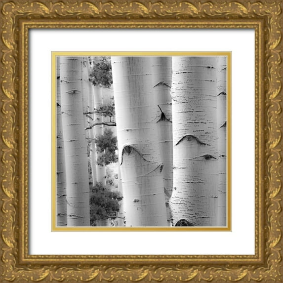 Cotter, Rick 15x15 Gold Ornate Wood Framed with Double Matting Museum Art Print Titled - Birches in Grey I
