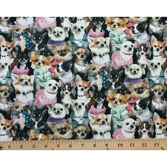Cotton Best Friend Chihuahuas Dogs Multicolor Elizabeth Studios Cotton Fabric Print by the Yard (707-MULTI)
