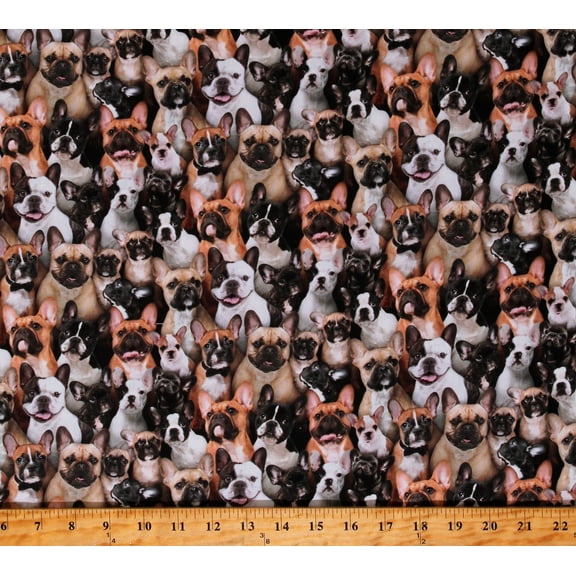 Cotton Best Friend French Bulldogs Animals Pets Dogs Puppies Multicolor Cotton Fabric Print by the Yard (687-MULT)